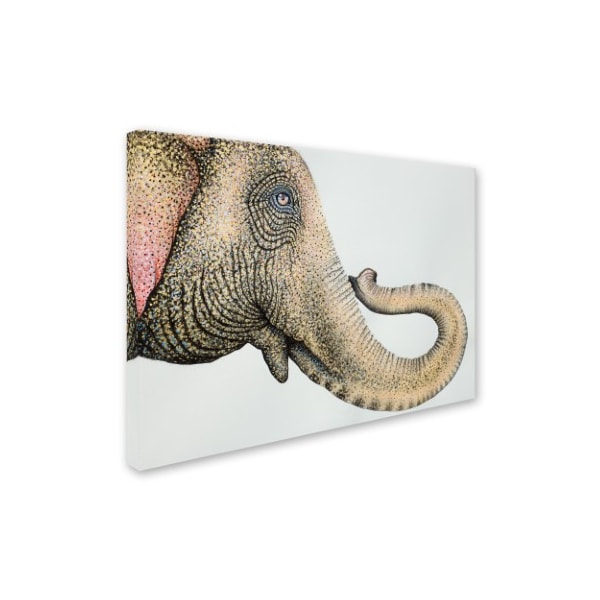 Michelle Faber 'Spotted Asian Elephant 2' Canvas Art,24x32